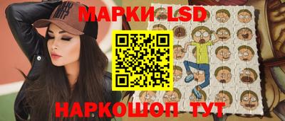 гидра Будённовск