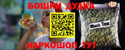 гидра Будённовск