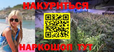 гидра Будённовск
