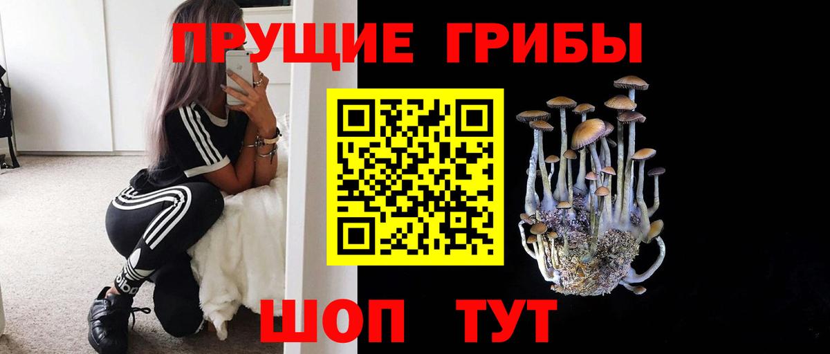 Галлюциногенные грибы Cubensis Реж
